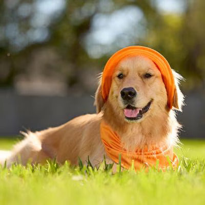 Dop_Summer_hat_mesh