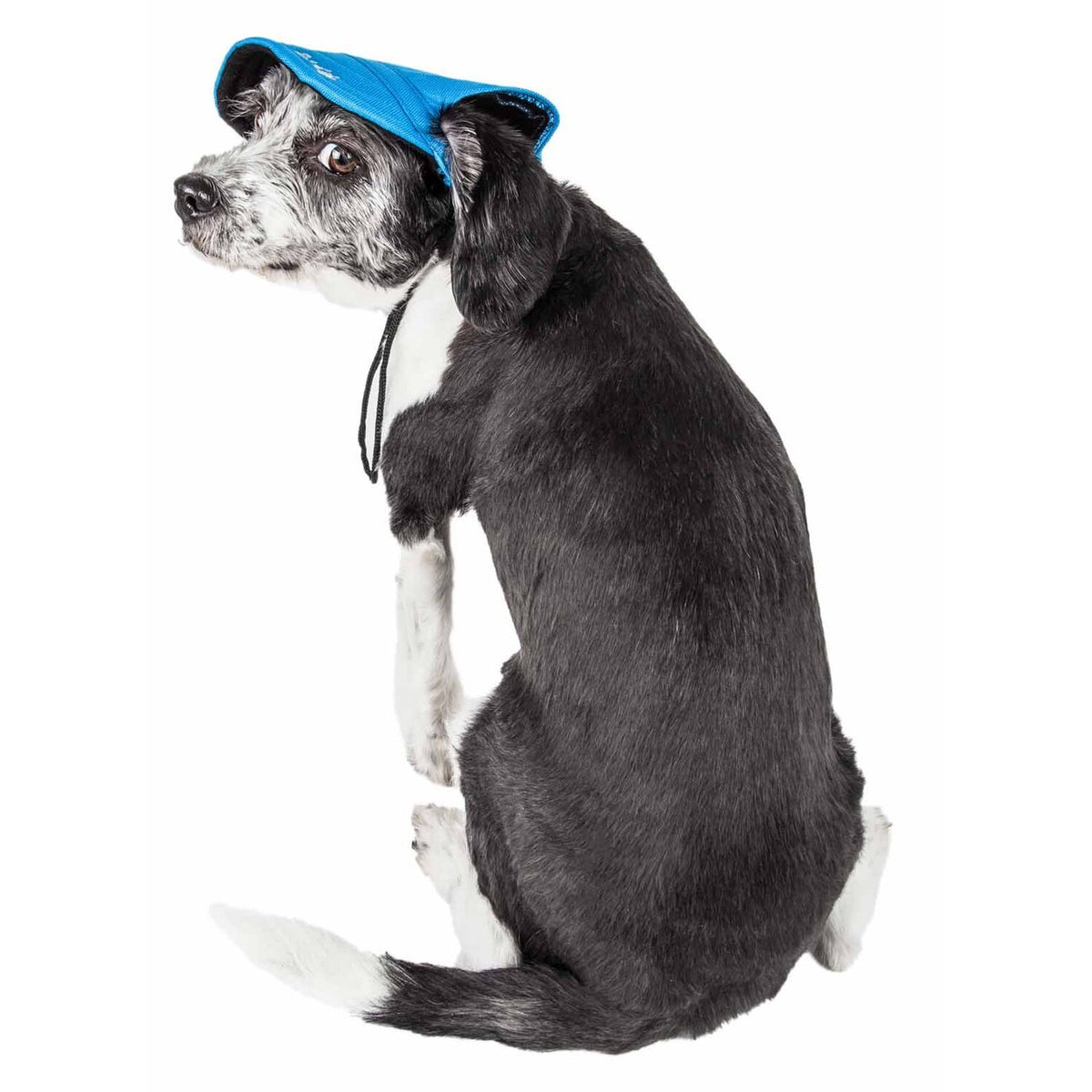 Dod_hat_blue_mesh