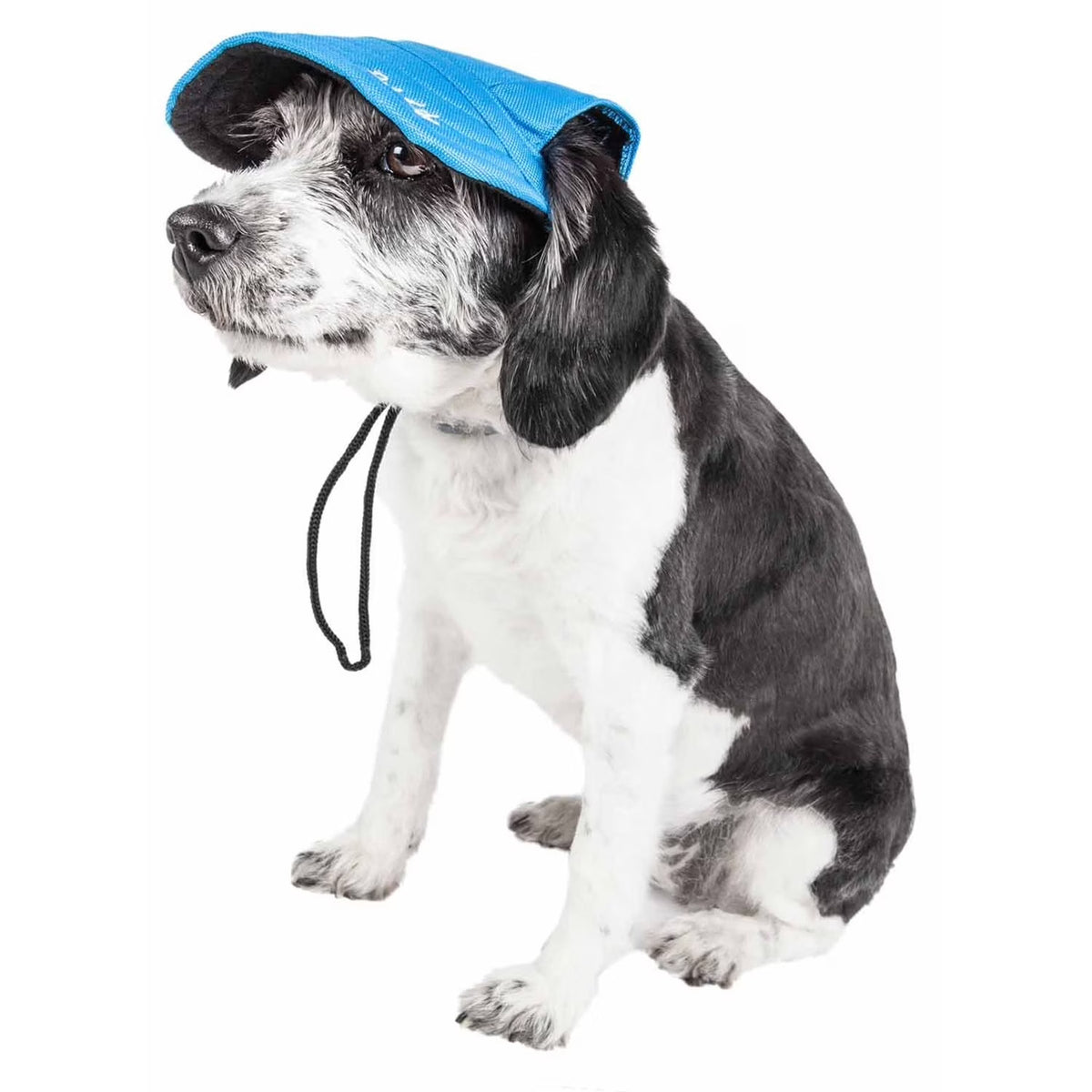 Dod_hat_blue_mesh