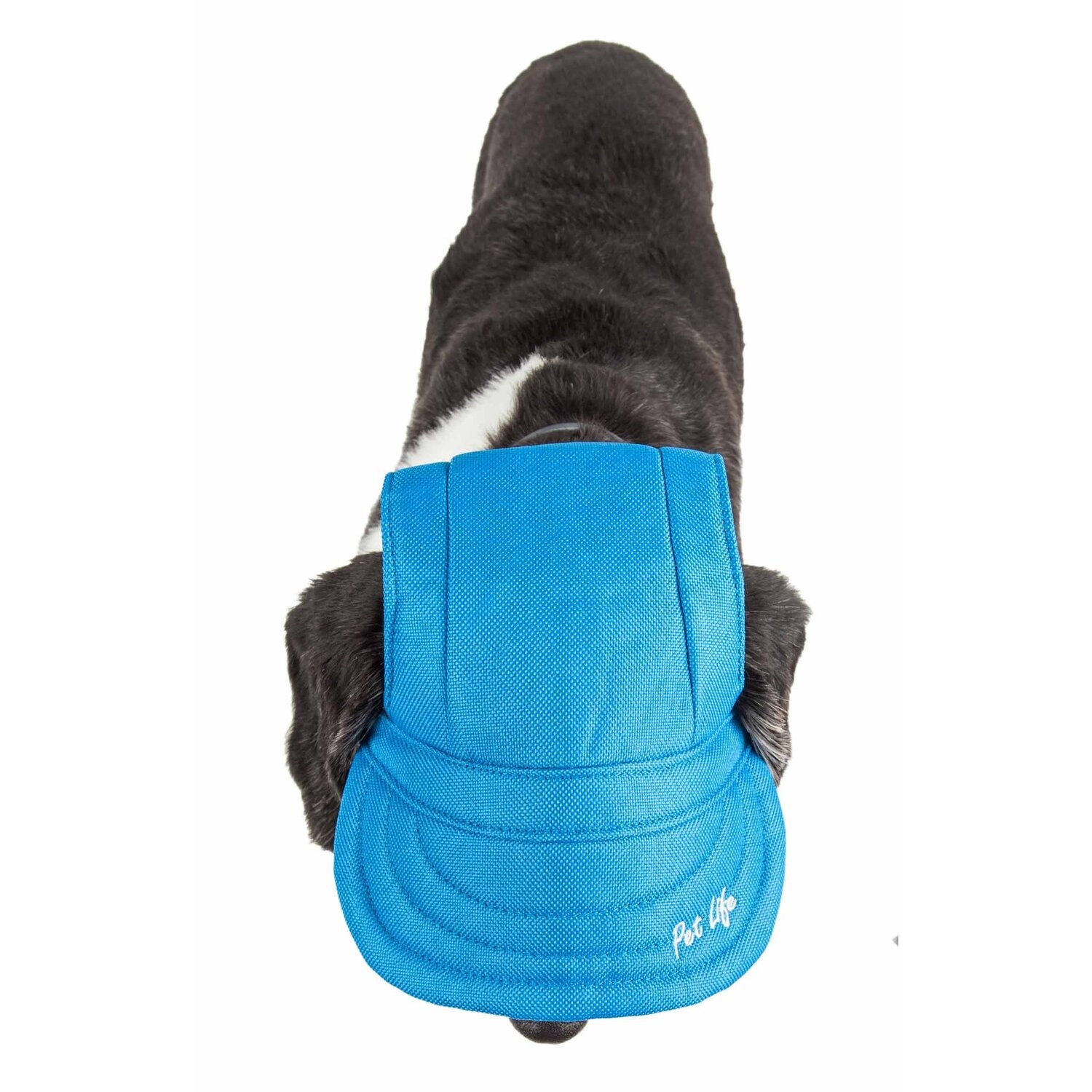 Dod_hat_blue_mesh