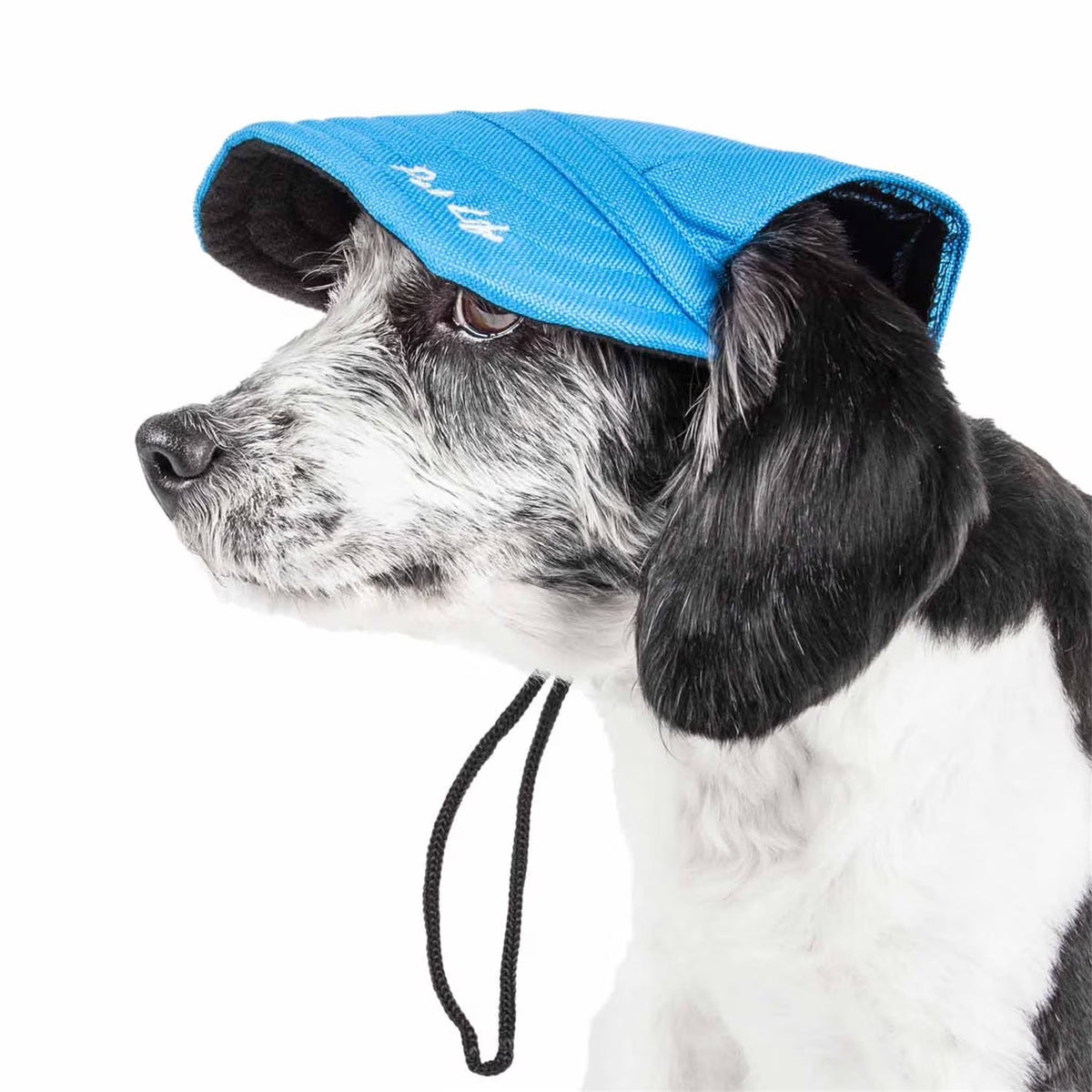 Dod_hat_blue_mesh