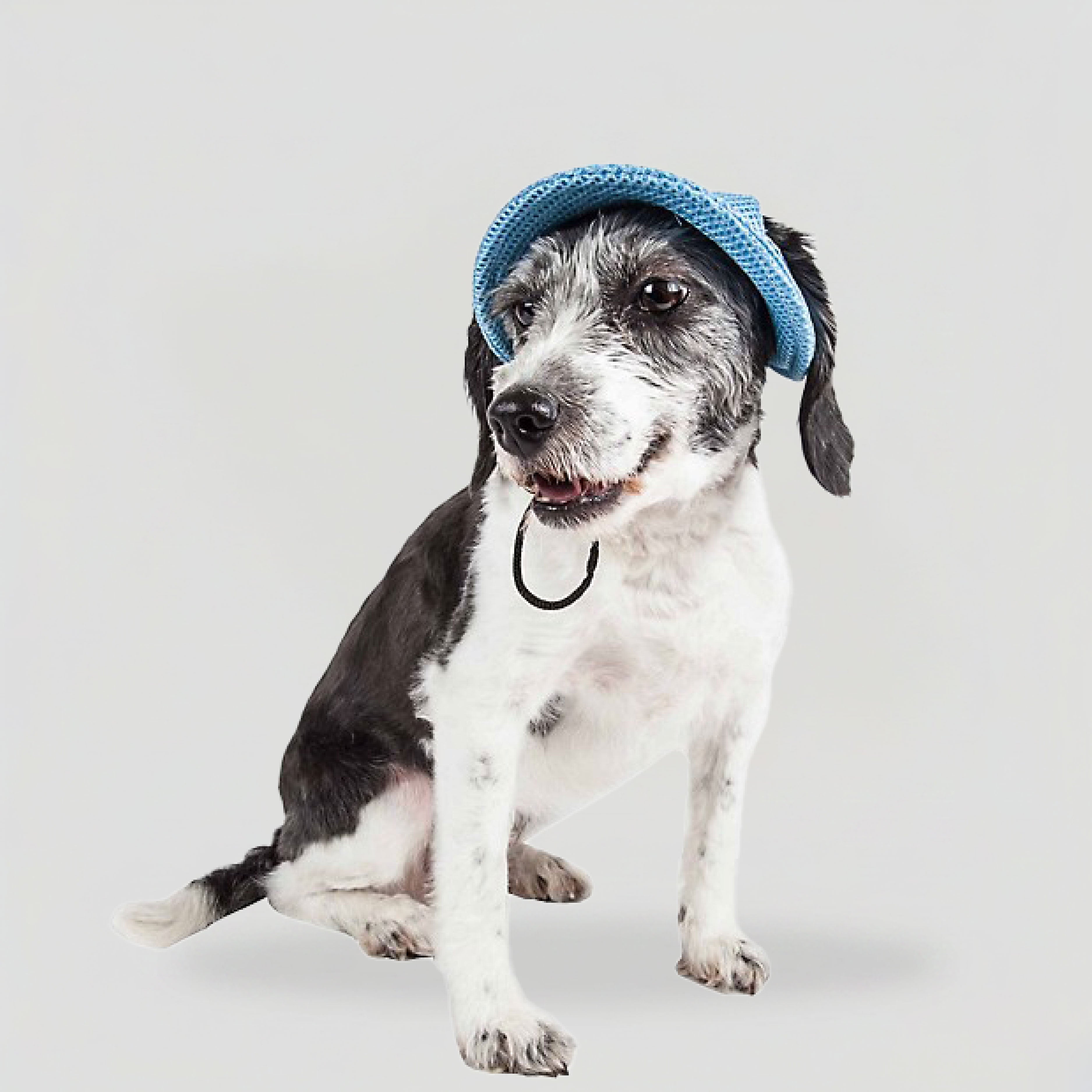 Dod_hat_blue_mesh