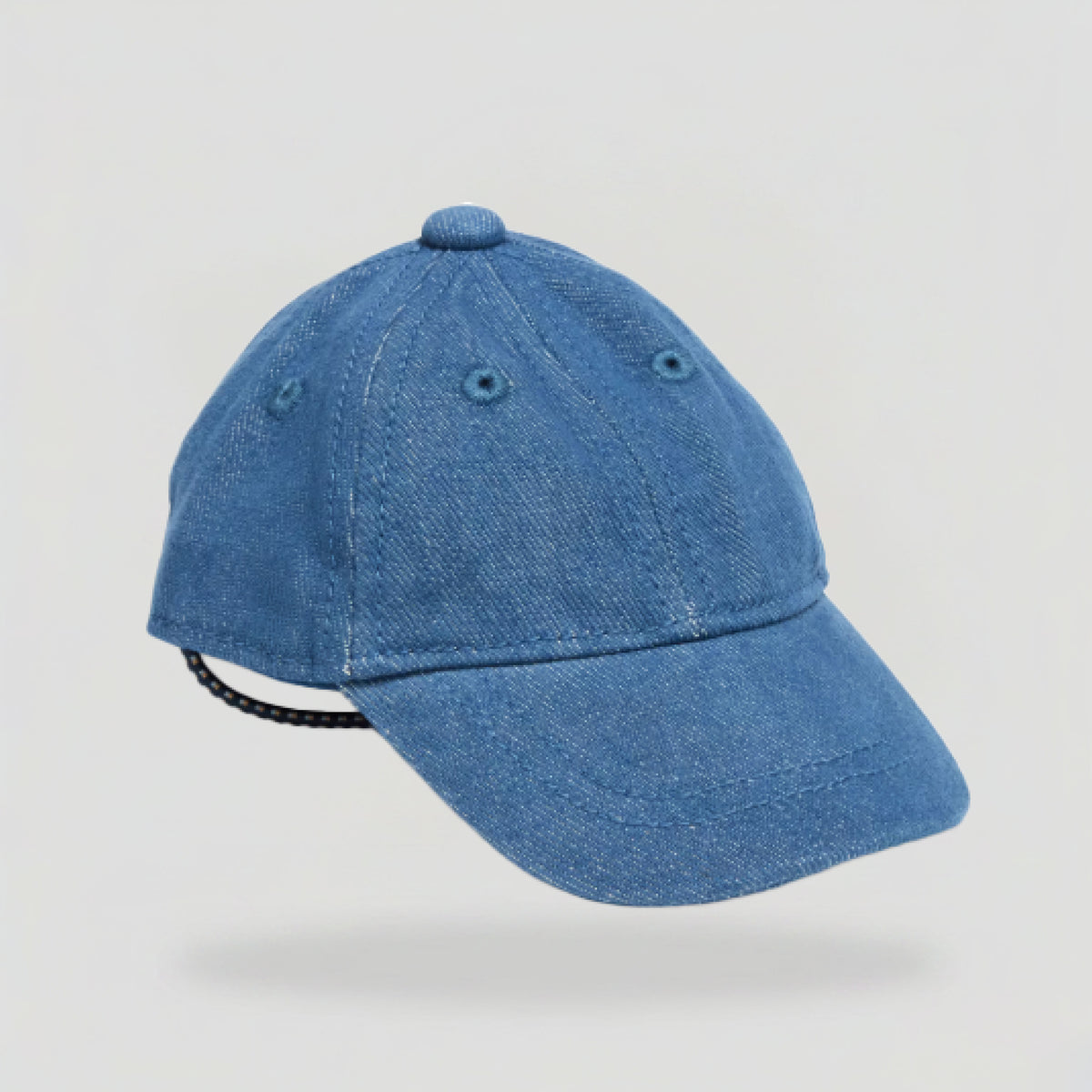 Dog_dad_hat_blue