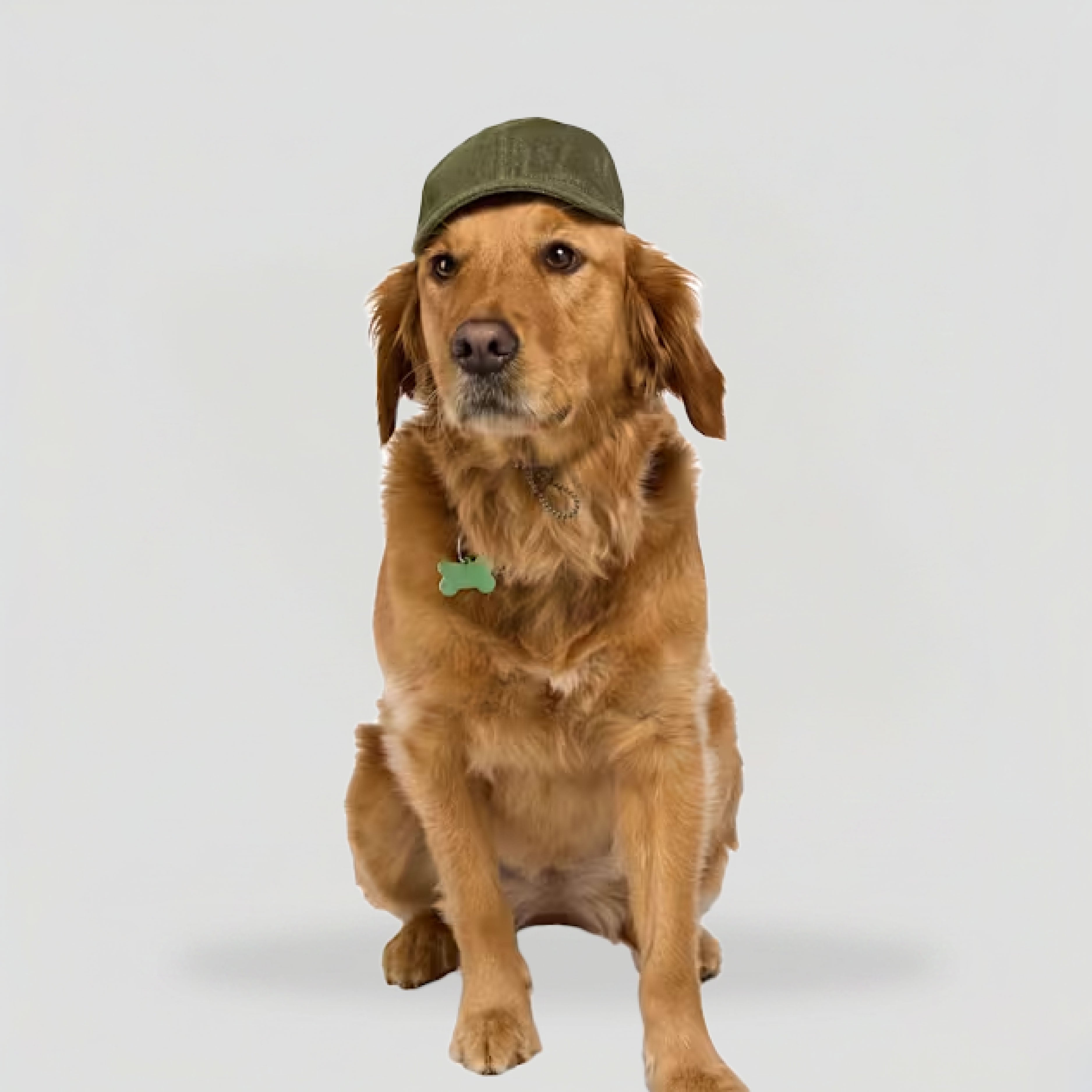 dog_green_baseball_cap